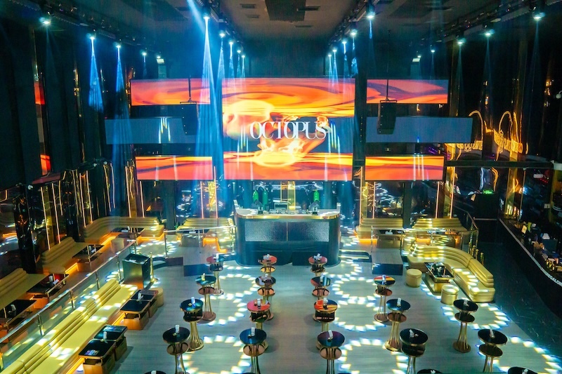 Octopus Manilla 3 Octopus Manilla 3