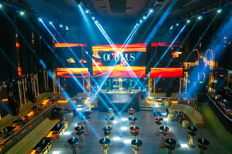 Octopus Manilla 7 Octopus Manilla 7